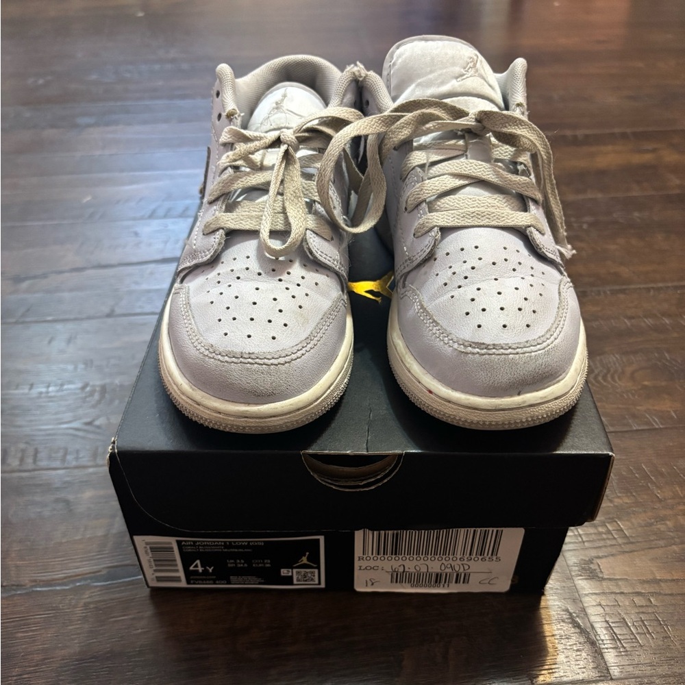 Jordan Cobalt Blue Sneakers